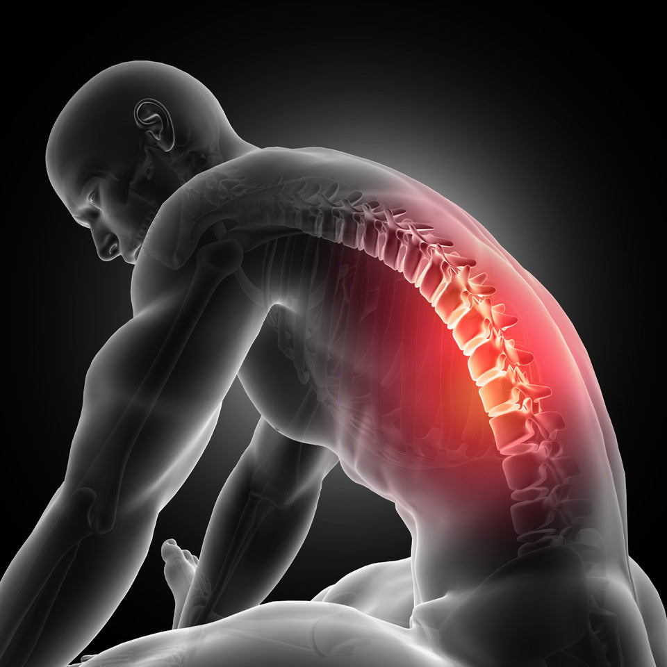 Chronic Back Pain — ablespine